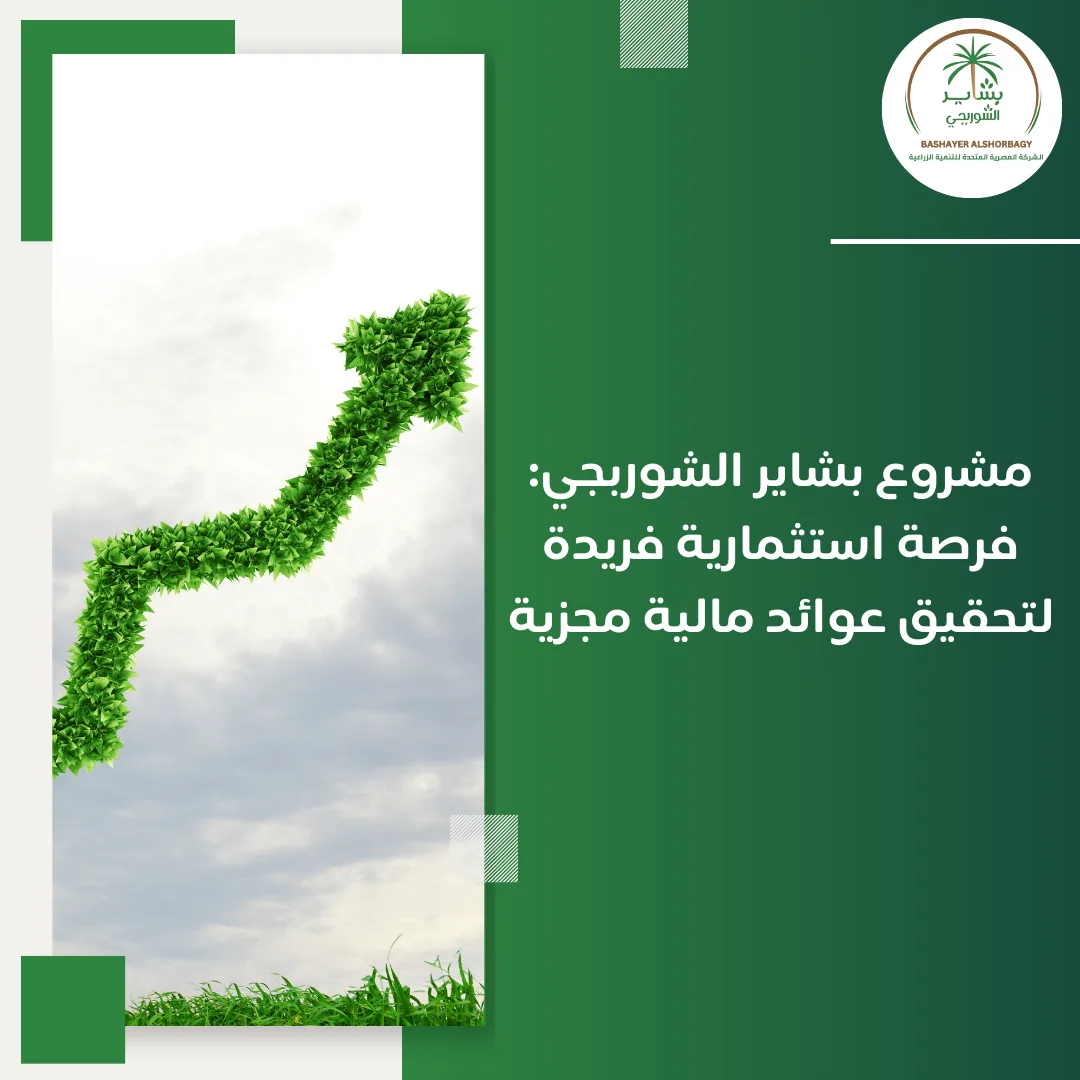 فرصة استثمارية فريدة لتحقيق عوائد مالية مجزية