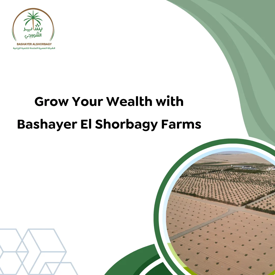 Grow Your Wealth with Bashayer El Shorbagy Farms