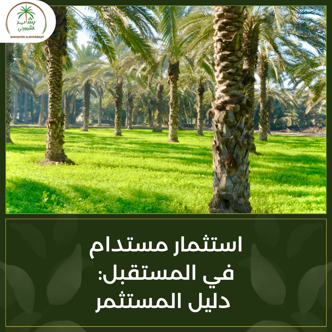 استثمار مستدام في المستقبل: دليل المستثمر
