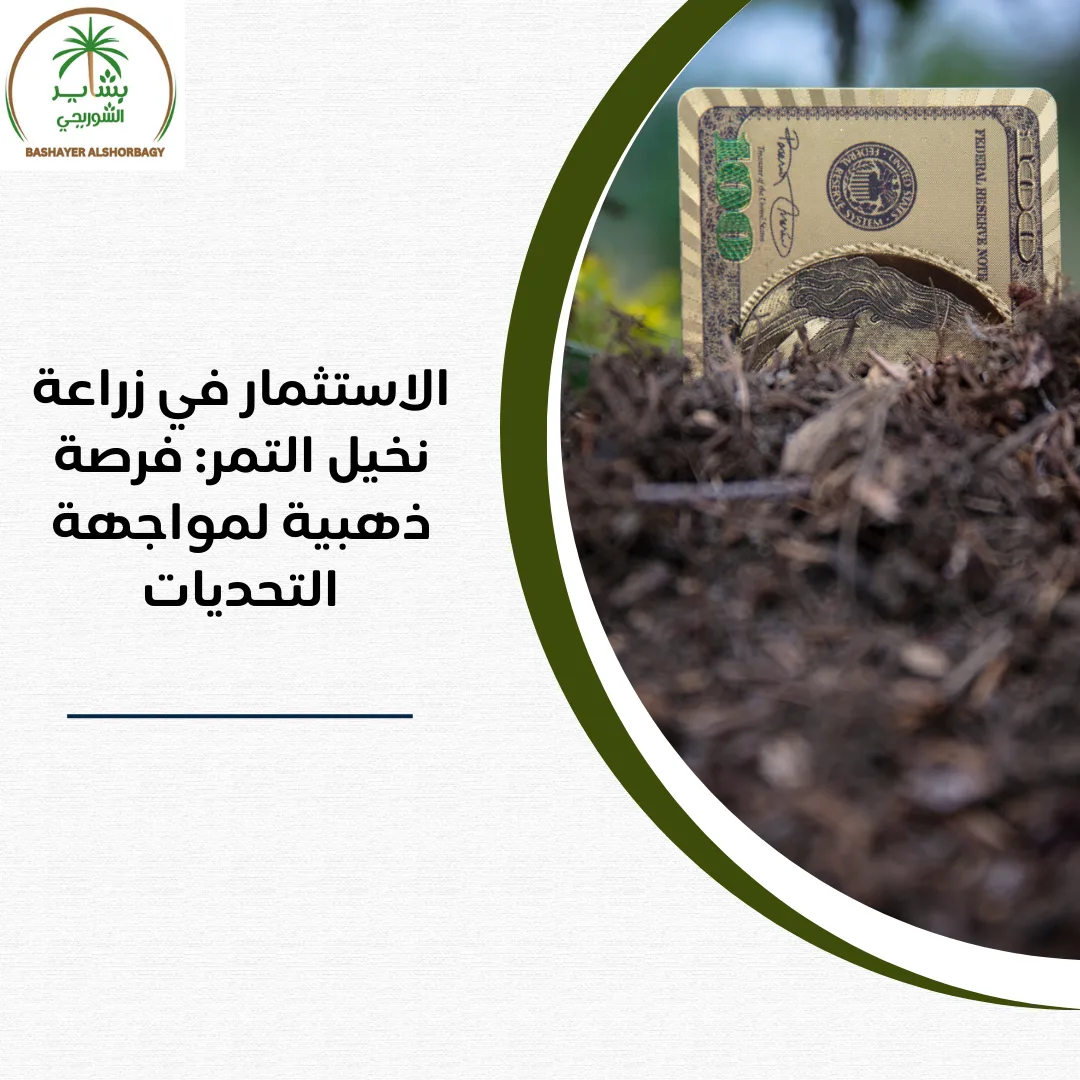 الاستثمار في زراعة نخيل التمر: فرصة ذهبية لمواجهة التحديات