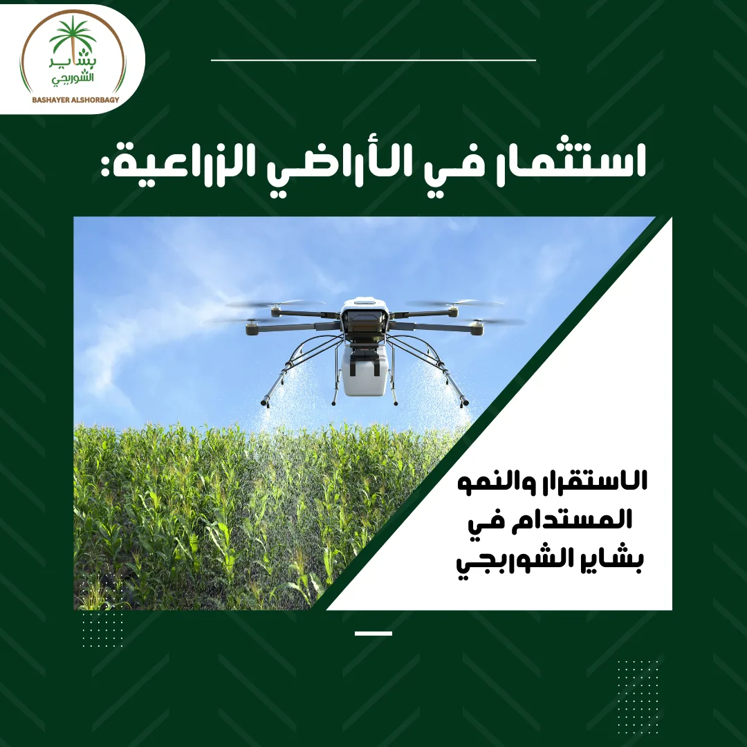 الاستقرار والنمو المستدام في بشاير الشوربجي