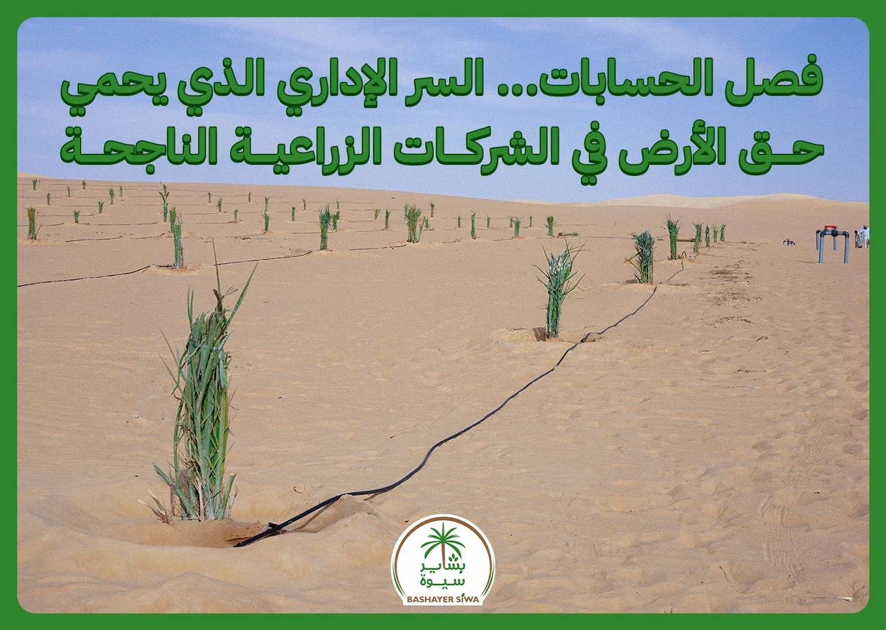 فصل الحسابات… السر الإداري الذي يحمي حق الأرض في الشركات الزراعية الناجحة