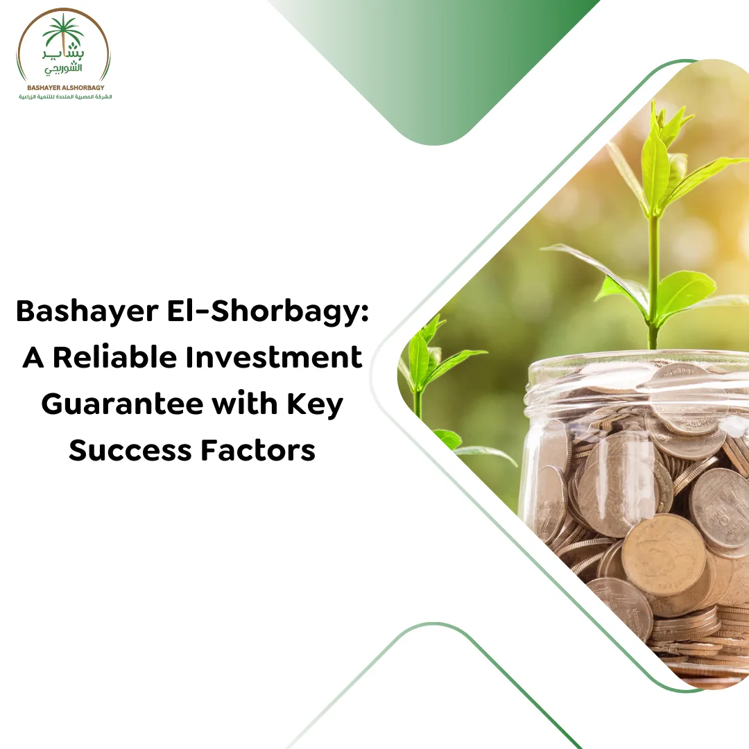 A Reliable Investment Guarantee with Key Success Factors