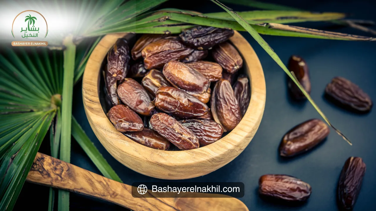 The Long-Term Benefits of Investing in Date Palm Farms: A Look at Bashayer Al-Nakhil