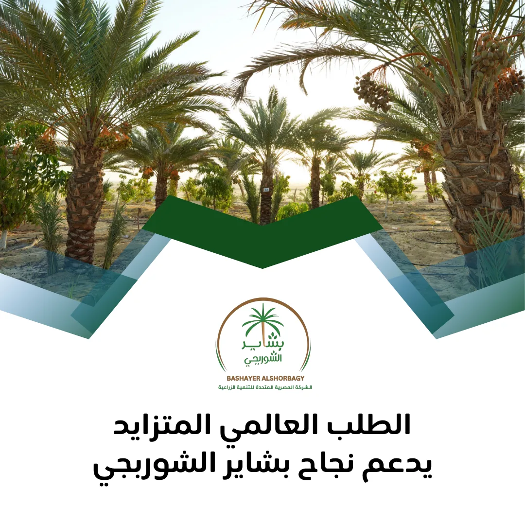 الطلب العالمي المتزايد يدعم نجاح بشاير الشوربجي