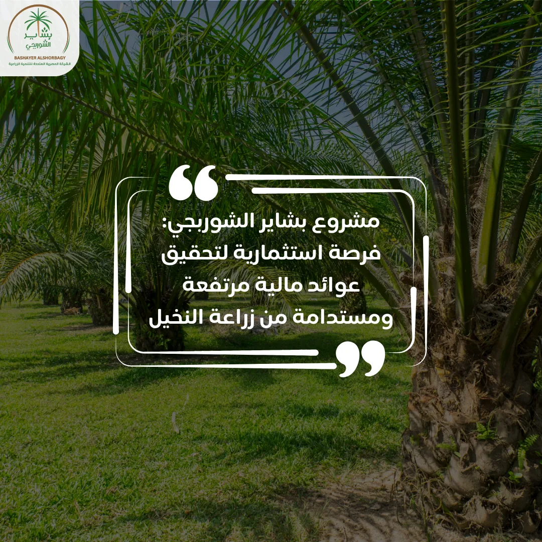 فرصة استثمارية لتحقيق عوائد مالية مرتفعة ومستدامة من زراعة النخيل