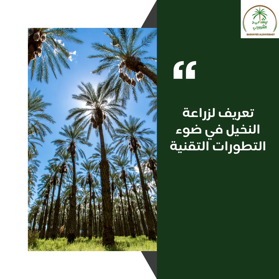 تعريف لزراعة النخيل في ضوء التطورات التقنية