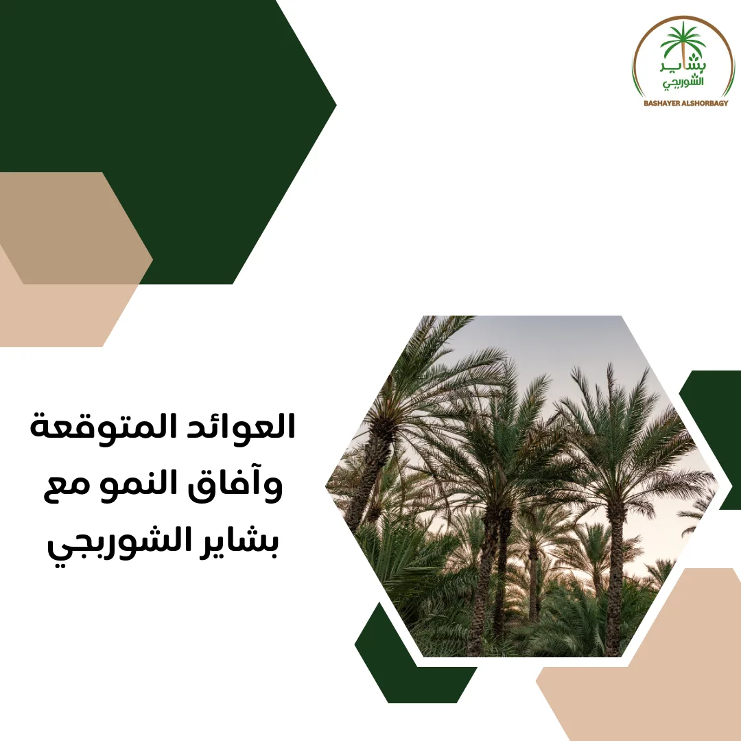 العوائد المتوقعة وآفاق النمو مع بشاير الشوربجي