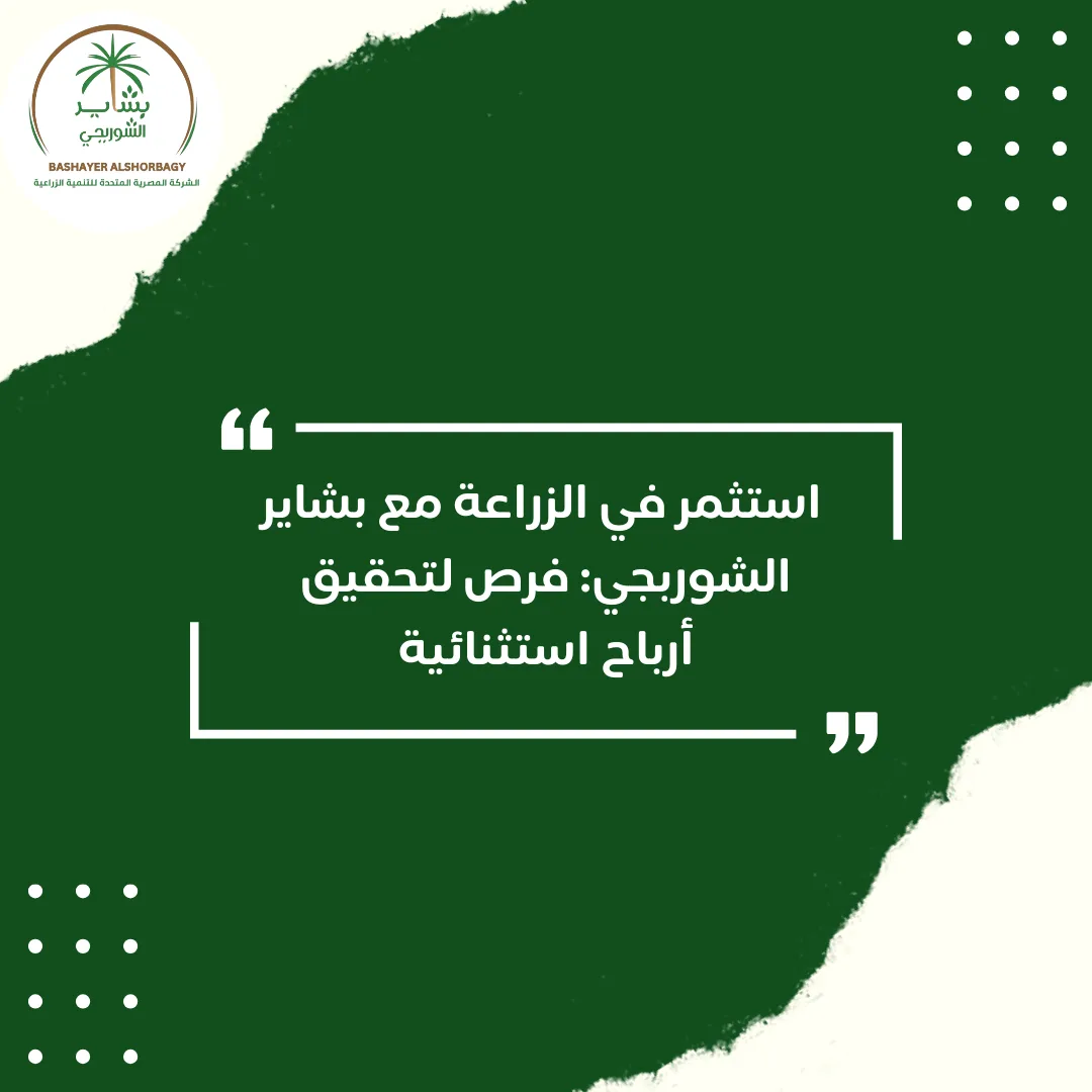 استثمر في الزراعة مع بشاير الشوربجي