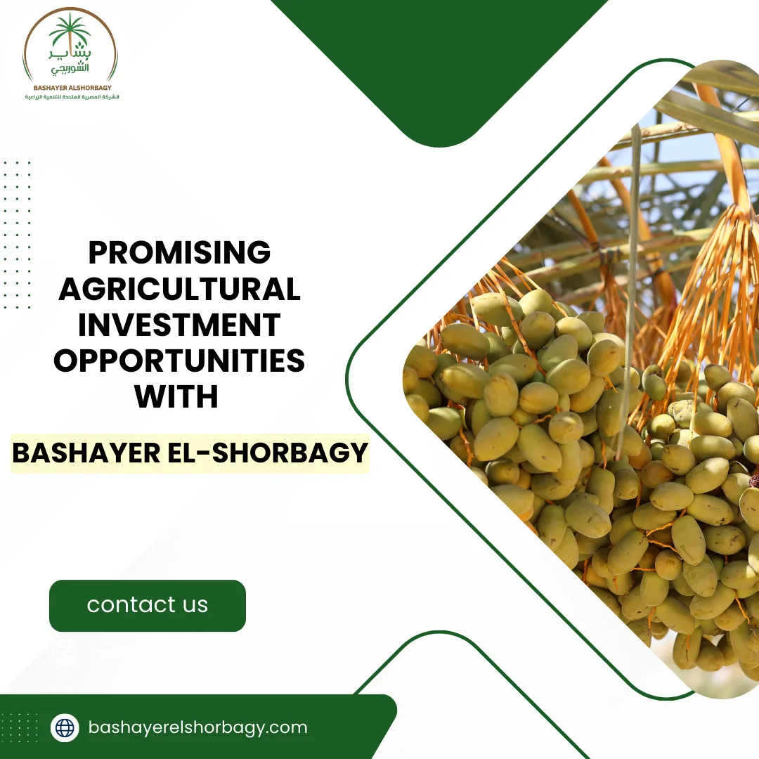 Promising Agricultural Investment Opportunities with Bashayer El-Shorbagy