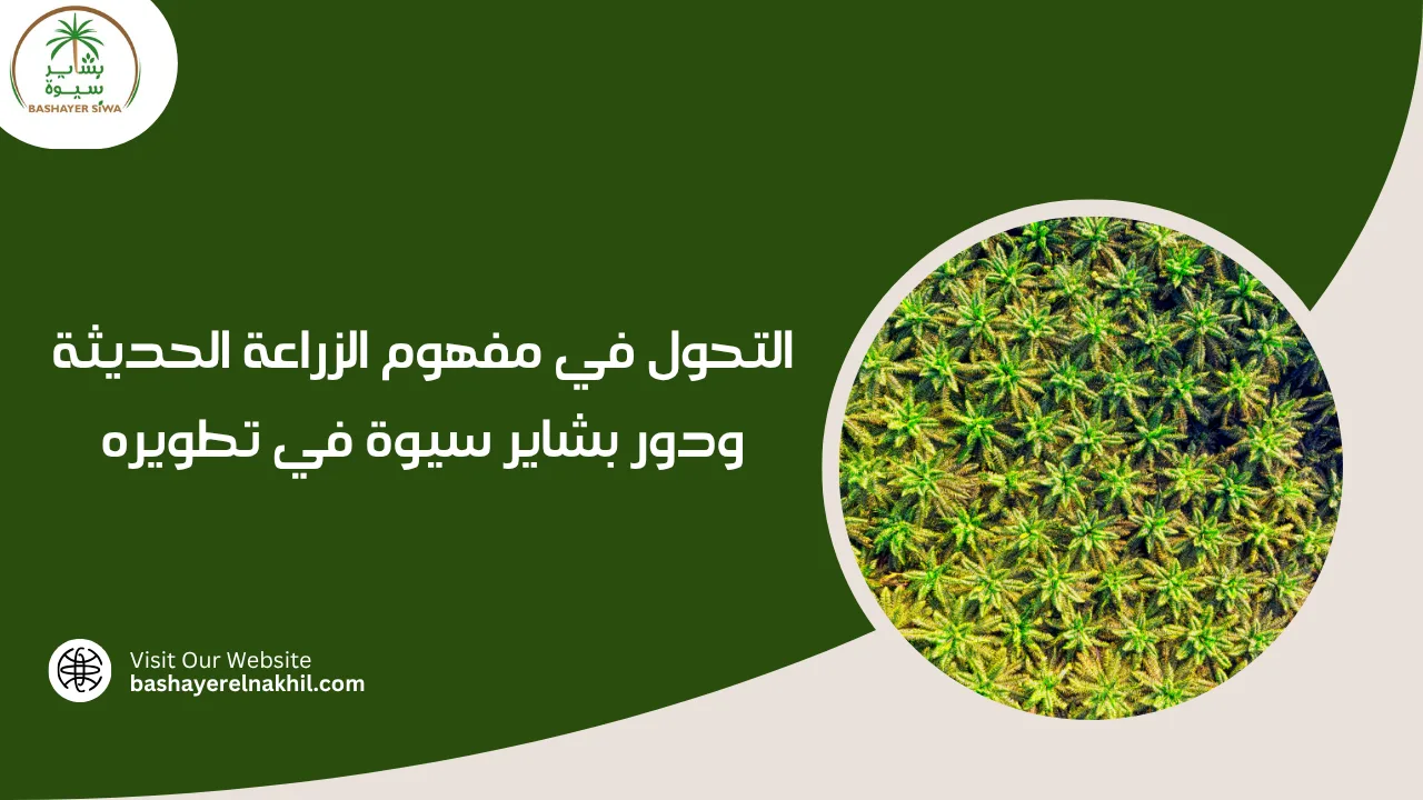 التحول في مفهوم الزراعة الحديثة ودور بشاير سيوة في تطويره