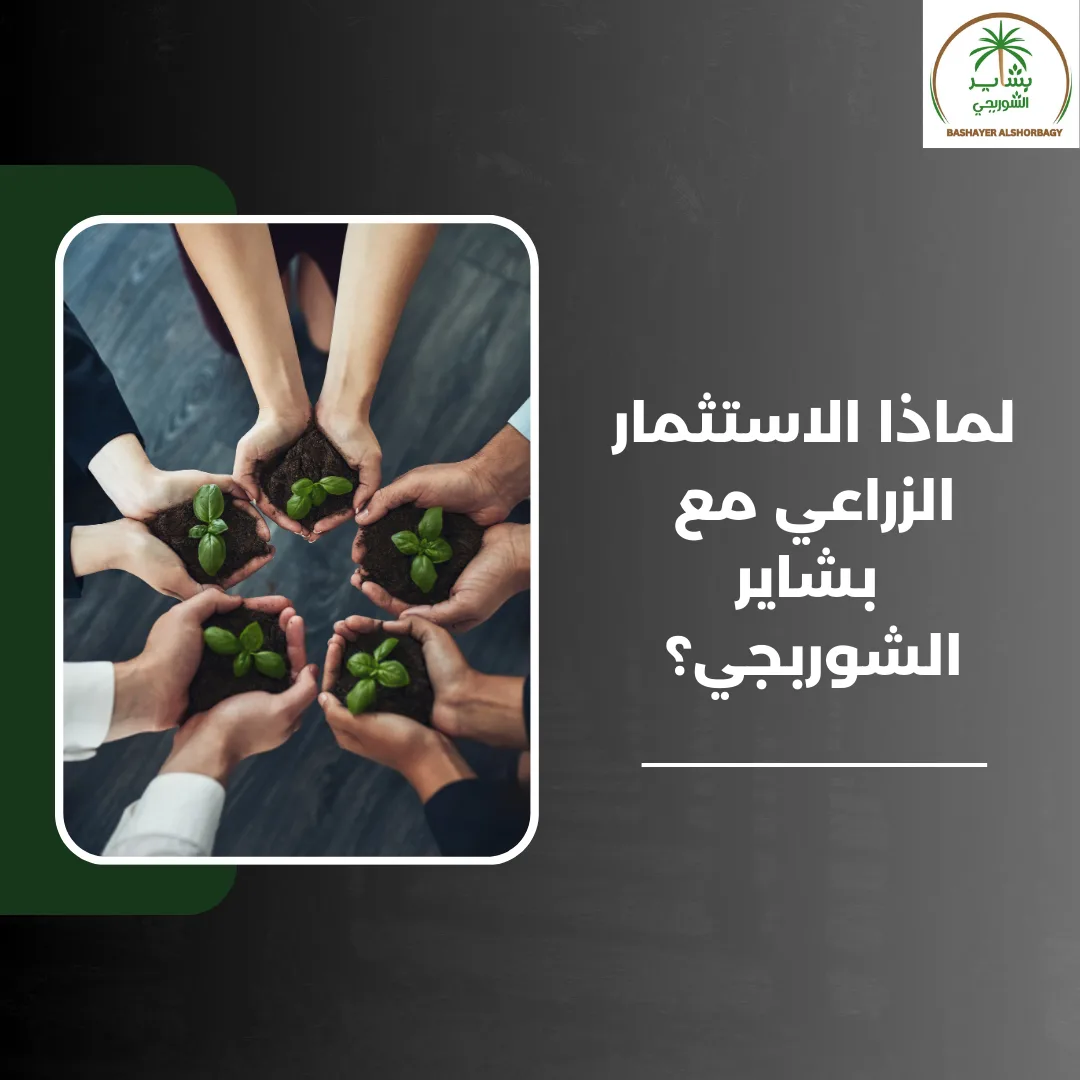 لماذا الاستثمار الزراعي مع بشاير الشوربجي؟