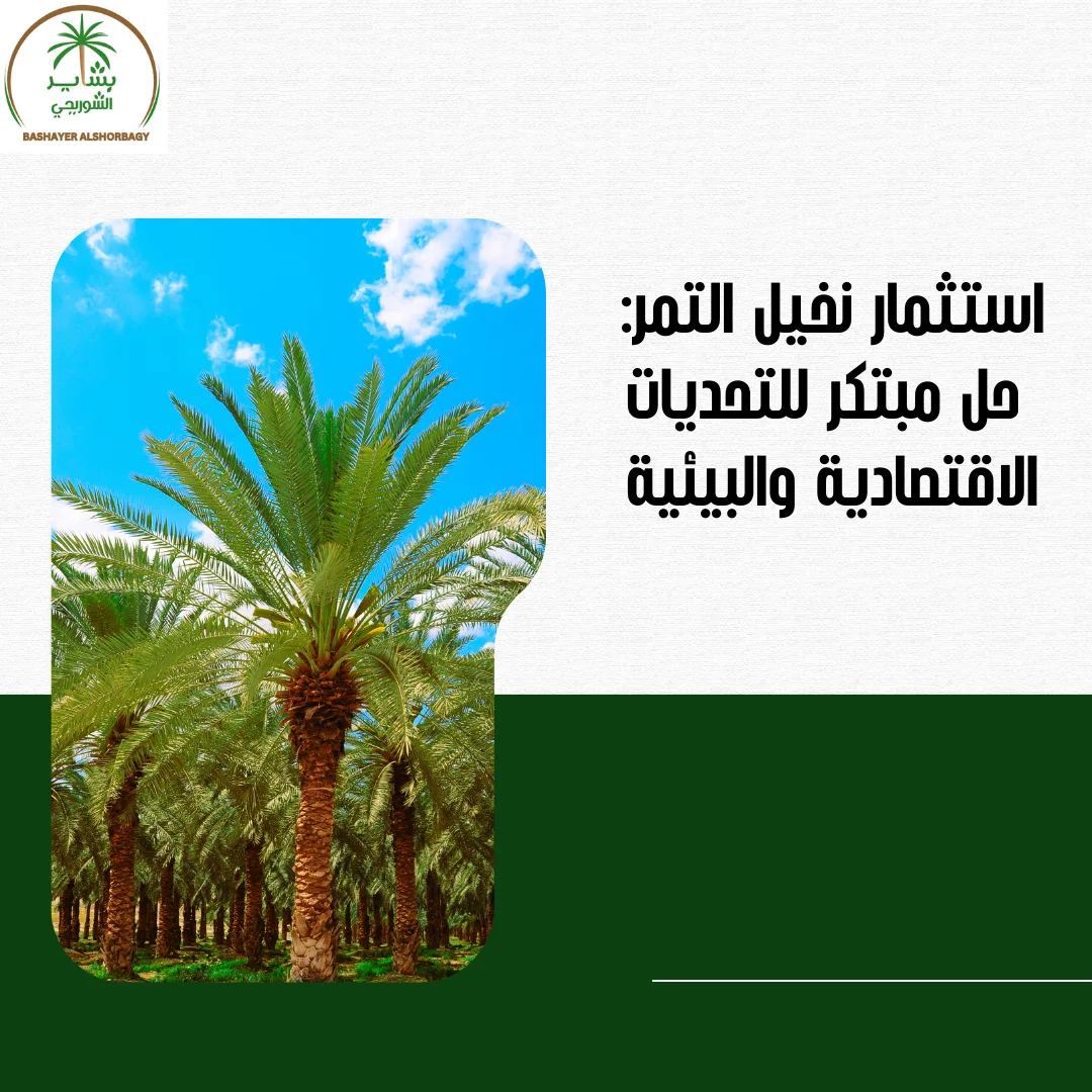 استثمار نخيل التمر: حل مبتكر للتحديات الاقتصادية والبيئية