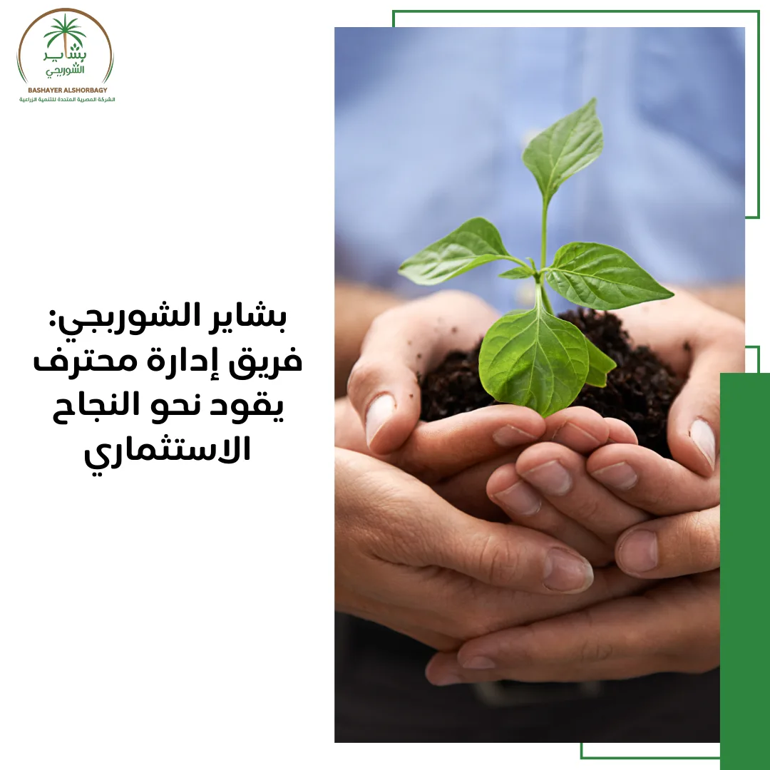 فريق إدارة محترف يقود نحو النجاح الاستثماري