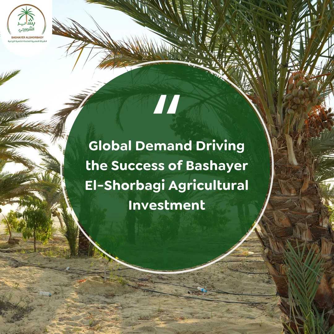 Global Demand Driving the Success of Bashayer El-Shorbagi Agricultural Investment