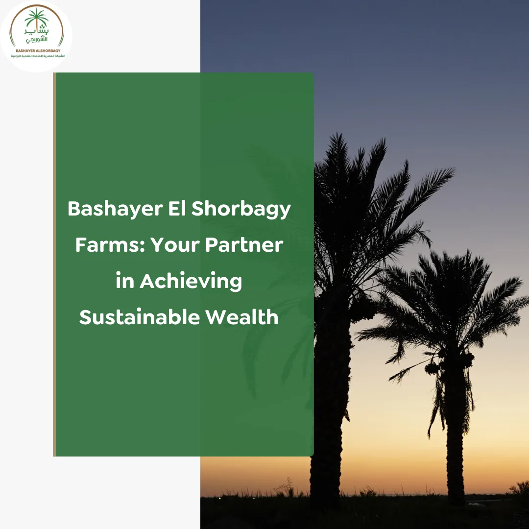 Bashayer El Shorbagy Farms: Your Partner in Achieving Sustainable Wealth