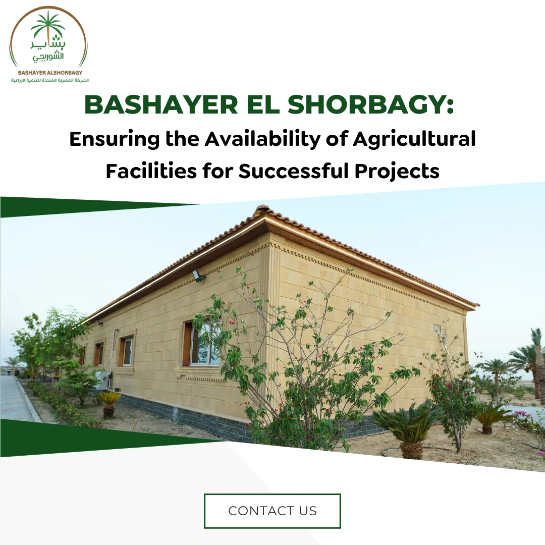 Bashayer El Shorbagy: Ensuring the Availability of Agricultural Facilities for Successful Projects