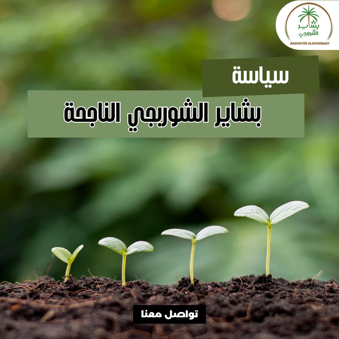 سياسة بشاير الشوربجي الناجحة : الجمع بين العائد المربح والاستدامة