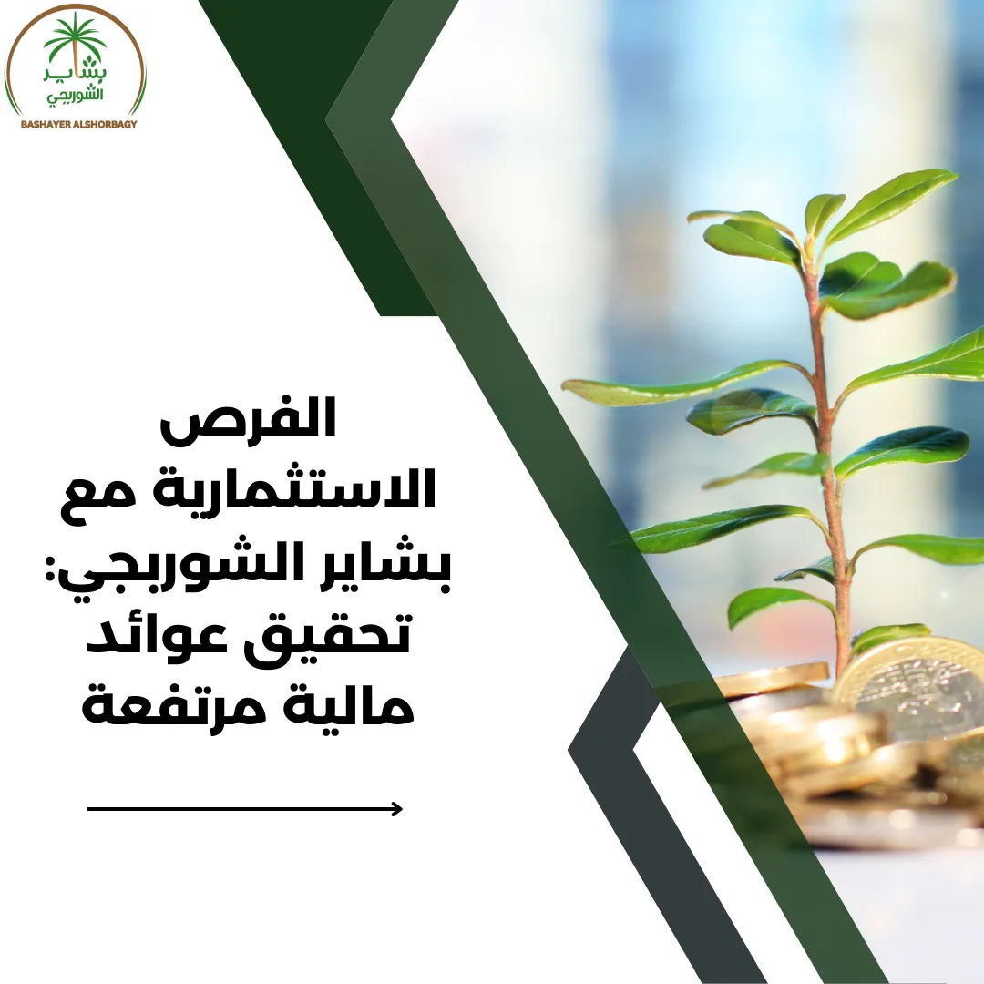 الفرص الاستثمارية مع بشاير الشوربجي