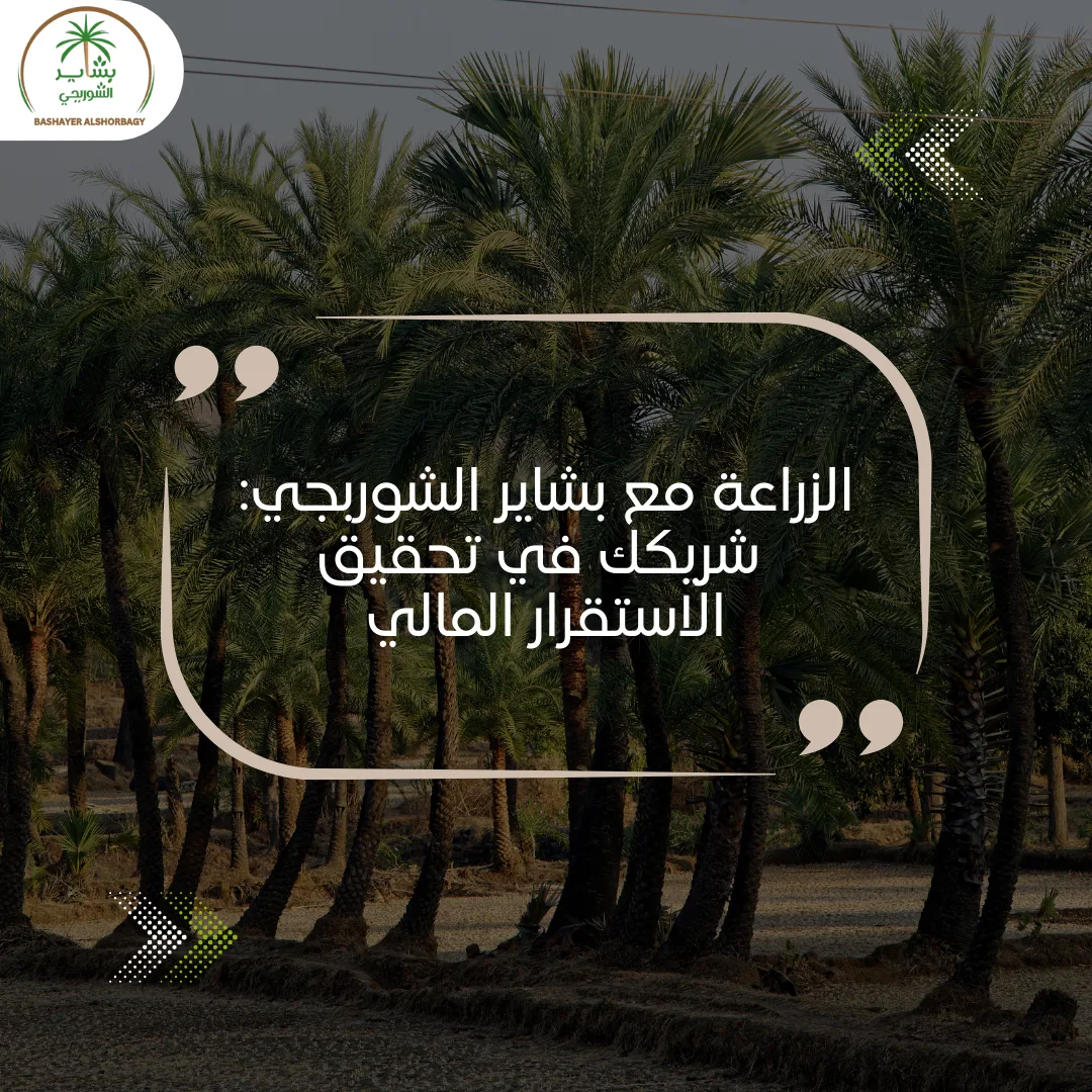 الزراعة مع بشاير الشوربجي: شريكك في تحقيق الاستقرار المالي