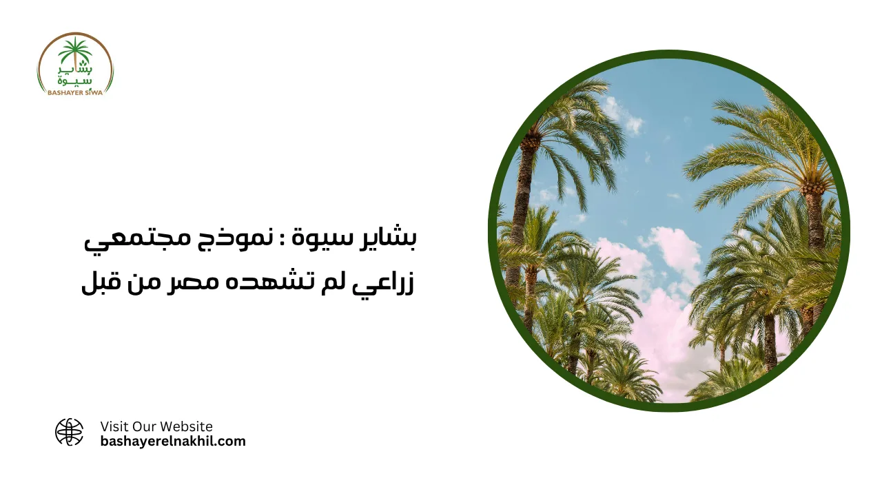 بشاير سيوة : نموذج مجتمعي زراعي لم تشهده مصر من قبل