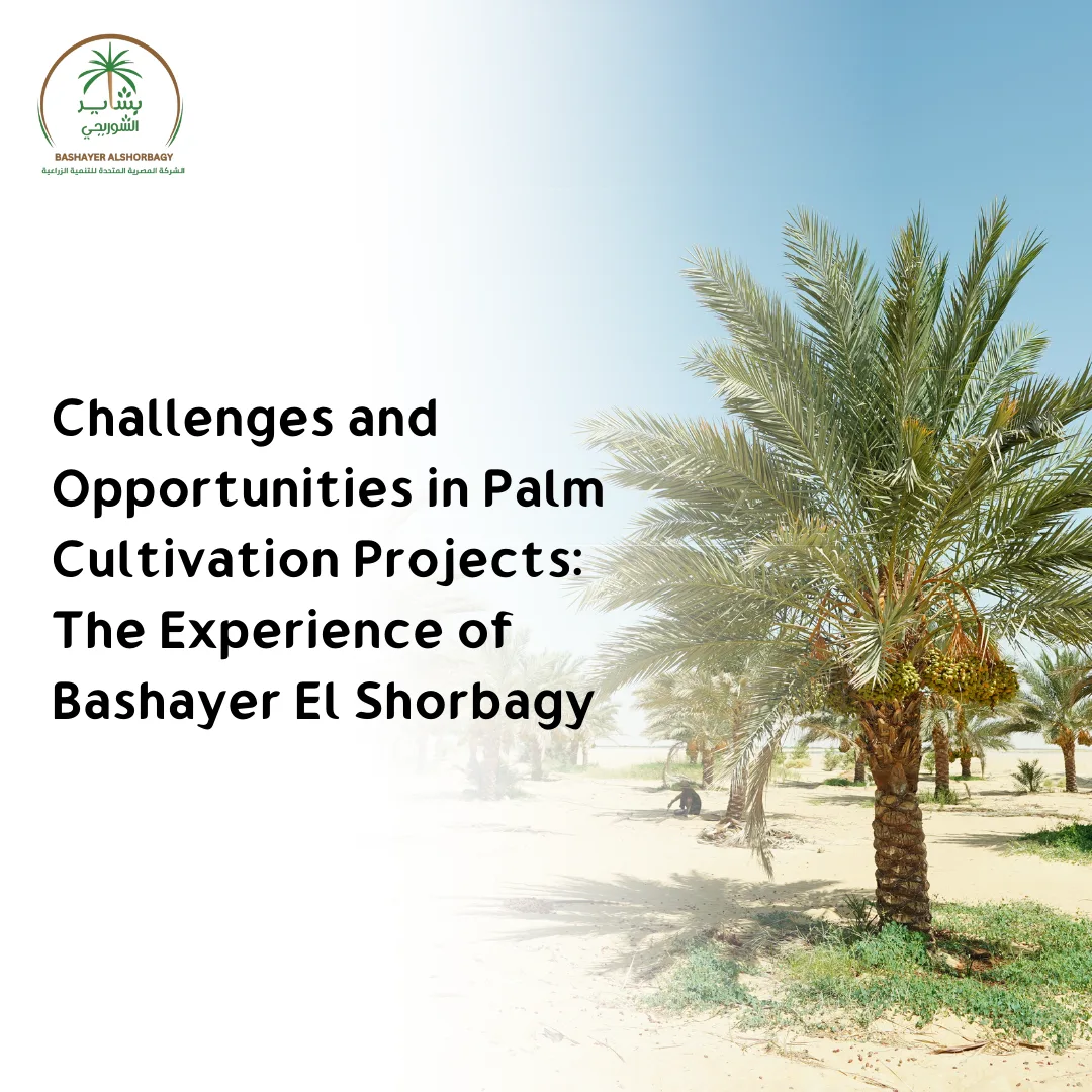 Challenges and Opportunities in Palm Cultivation Projects