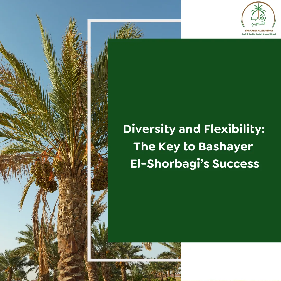 The Key to Bashayer El-Shorbagi’s Success