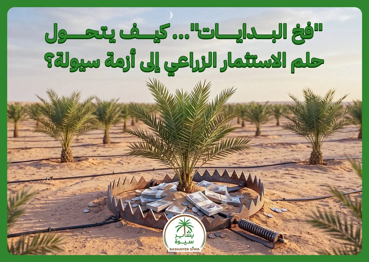 “فخ البدايات”… كيف يتحول حلم الاستثمار الزراعي إلى أزمة سيولة؟
