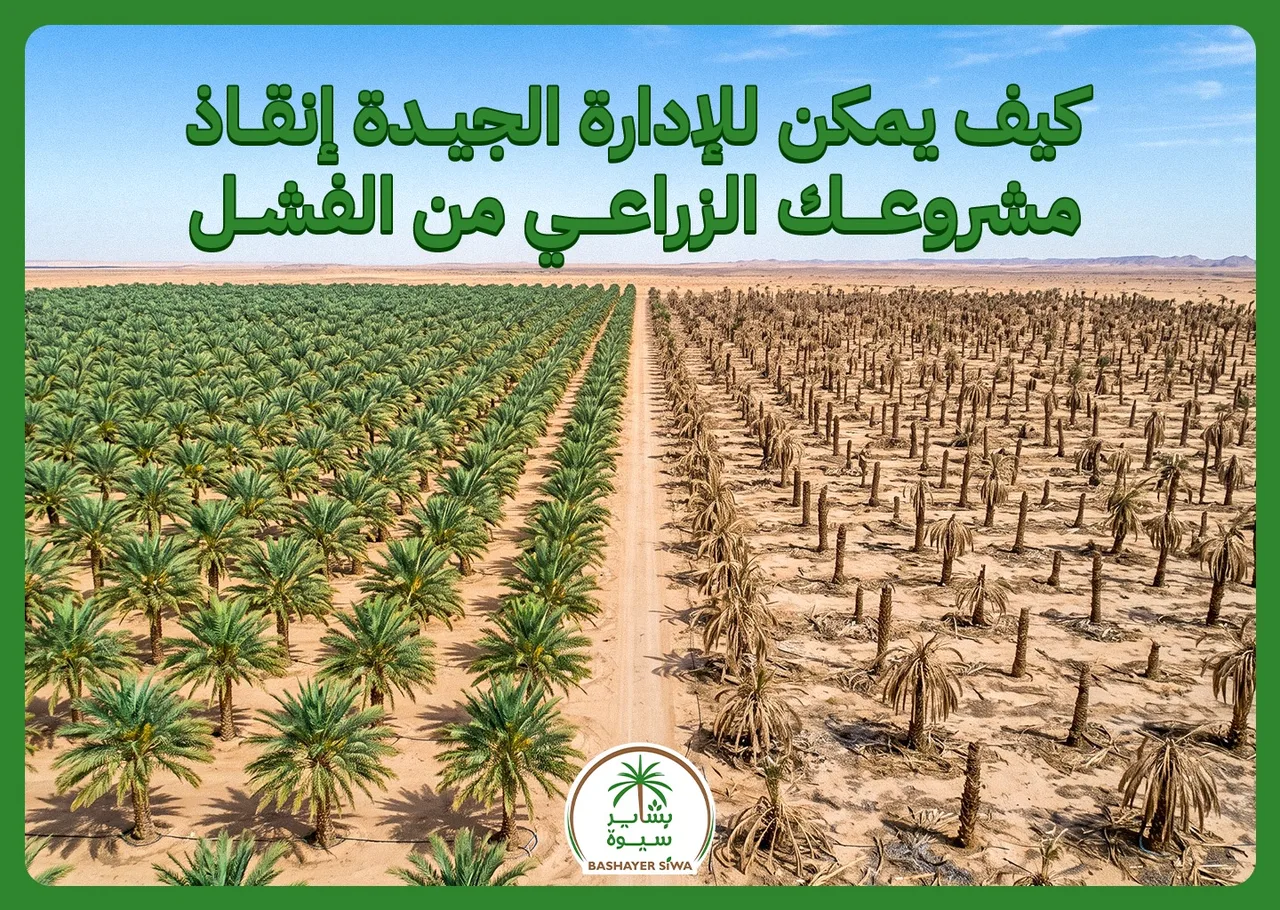 كيف يمكن للإدارة الجيدة إنقاذ مشروعك الزراعي من الفشل
