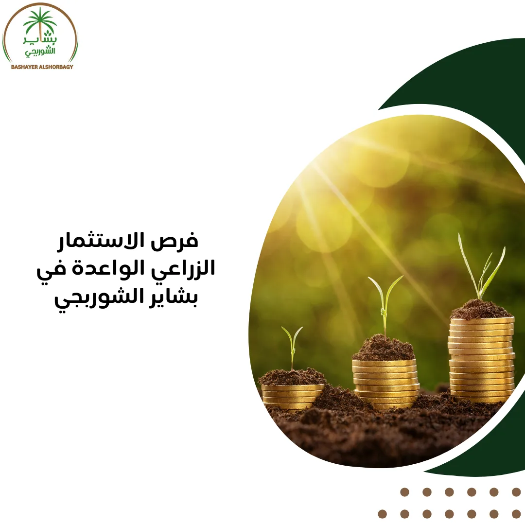 فرص الاستثمار الزراعي الواعدة في بشاير الشوربجي