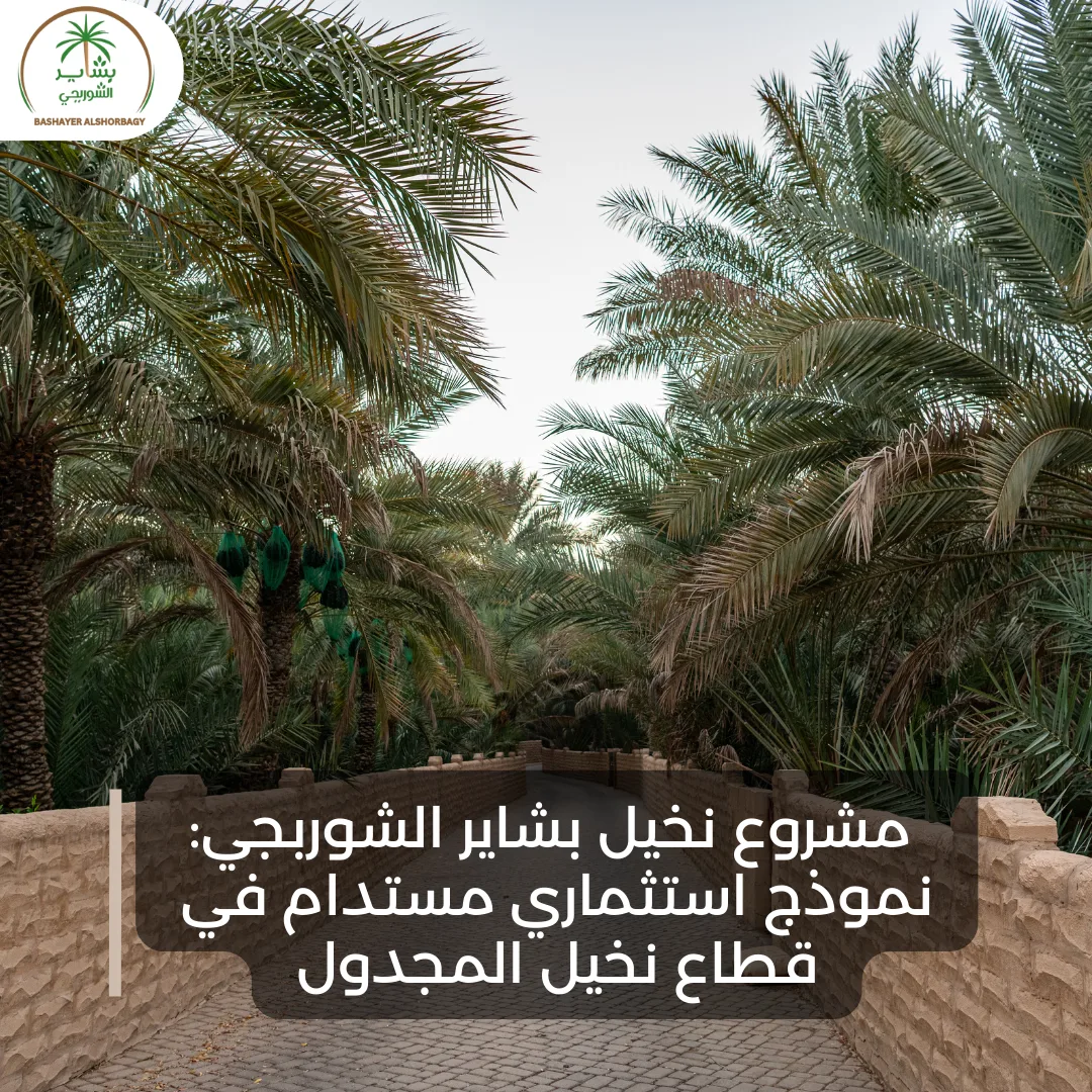 مشروع نخيل بشاير الشوربجي: نموذج استثماري مستدام في قطاع نخيل المجدول