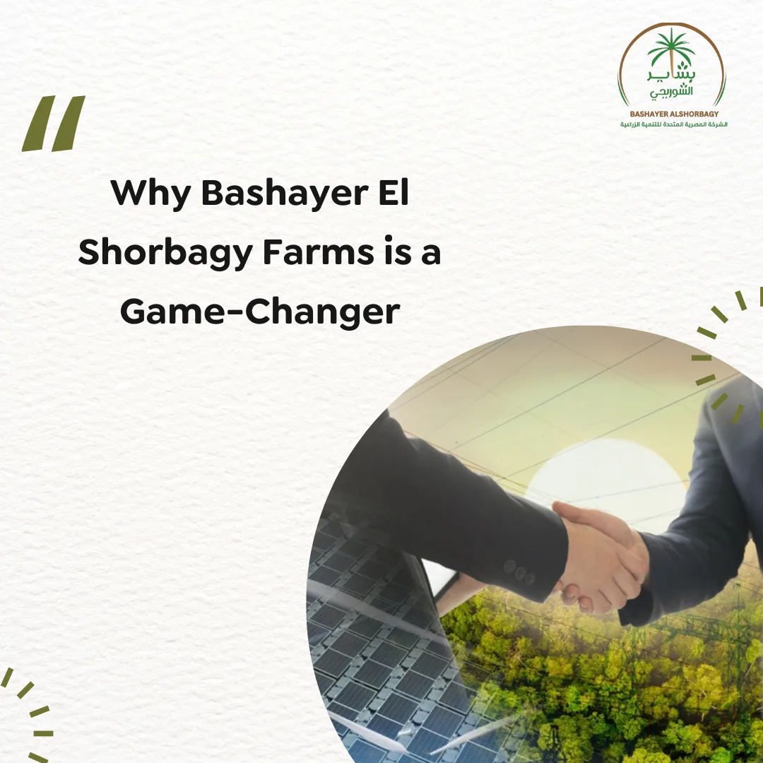 Why Bashayer El Shorbagy Farms is a Game-Changer