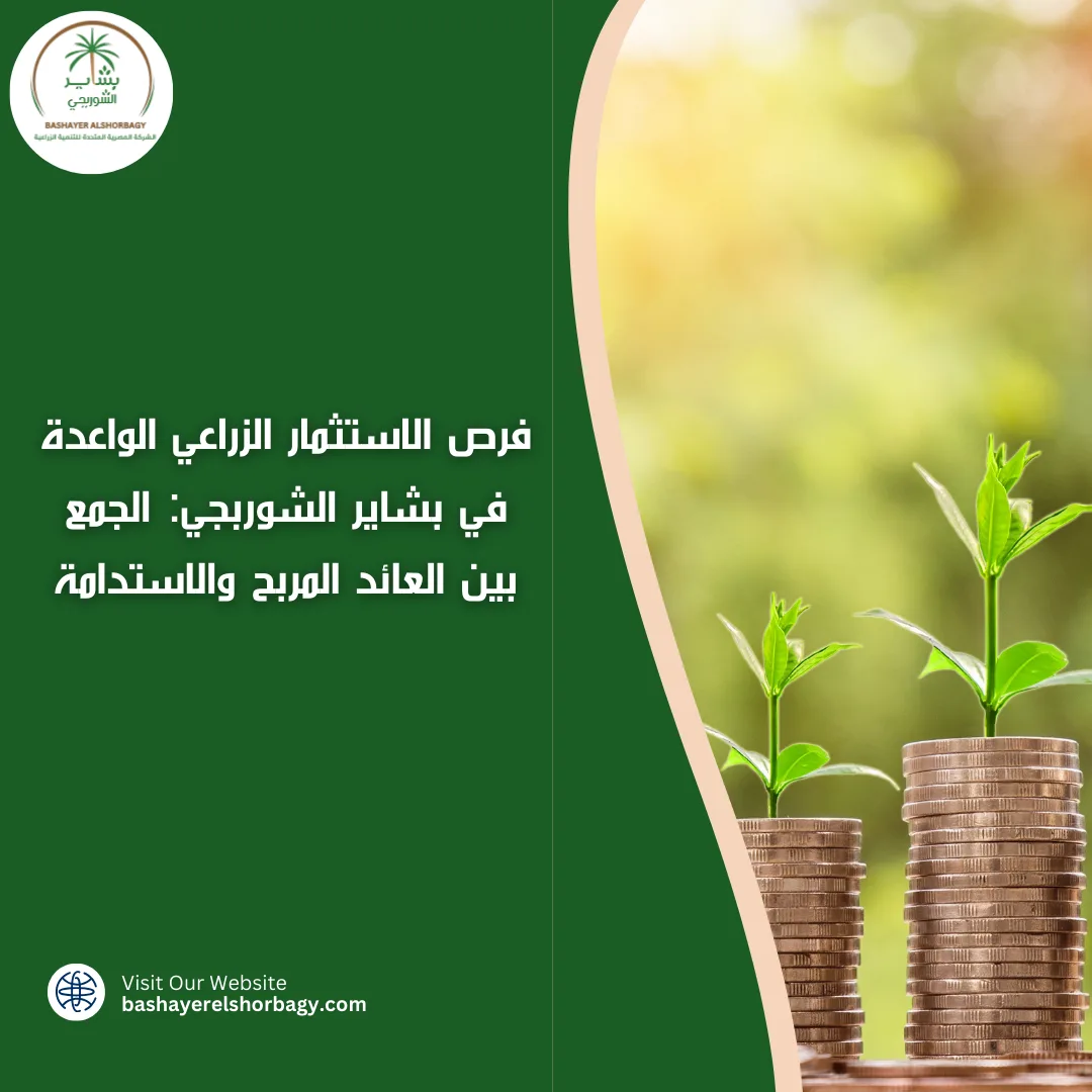 فرص الاستثمار الزراعي الواعدة في بشاير الشوربجي
