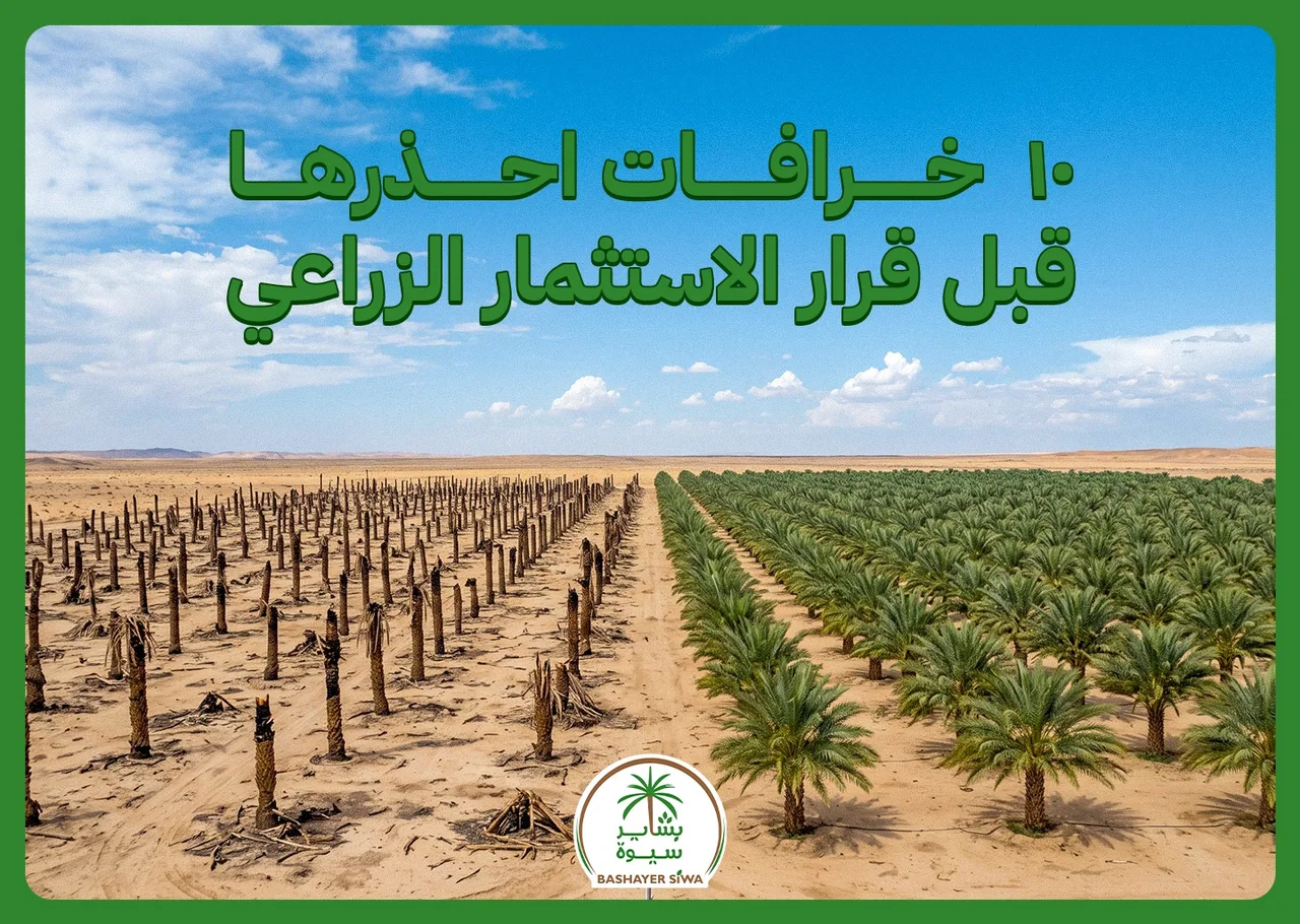10 خرافات احذرها قبل قرار الاستثمار الزراعي