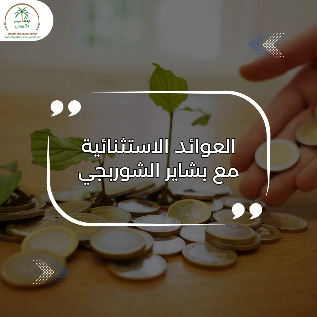 العوائد الاستثنائية مع بشاير الشوربجي