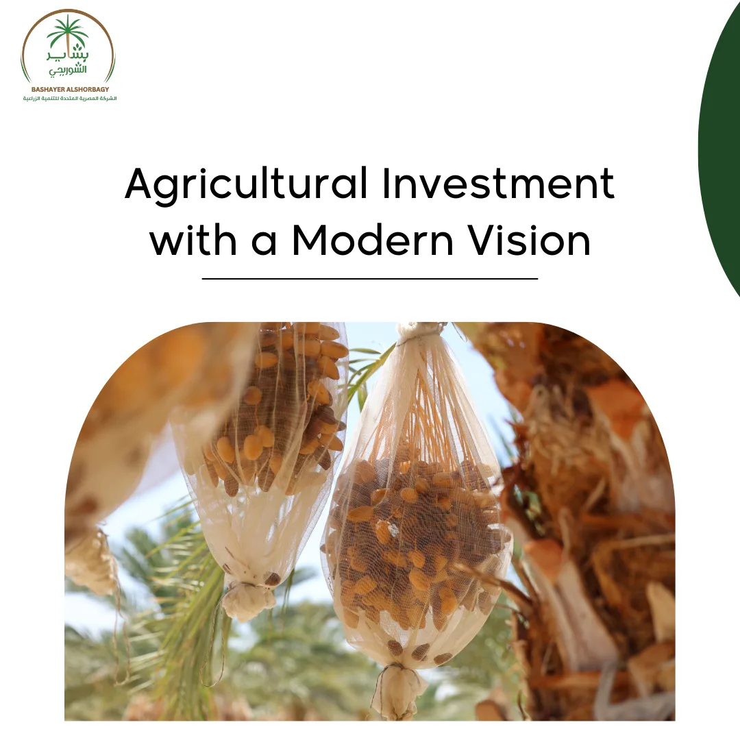 Agricultural Investment with a Modern Vision
