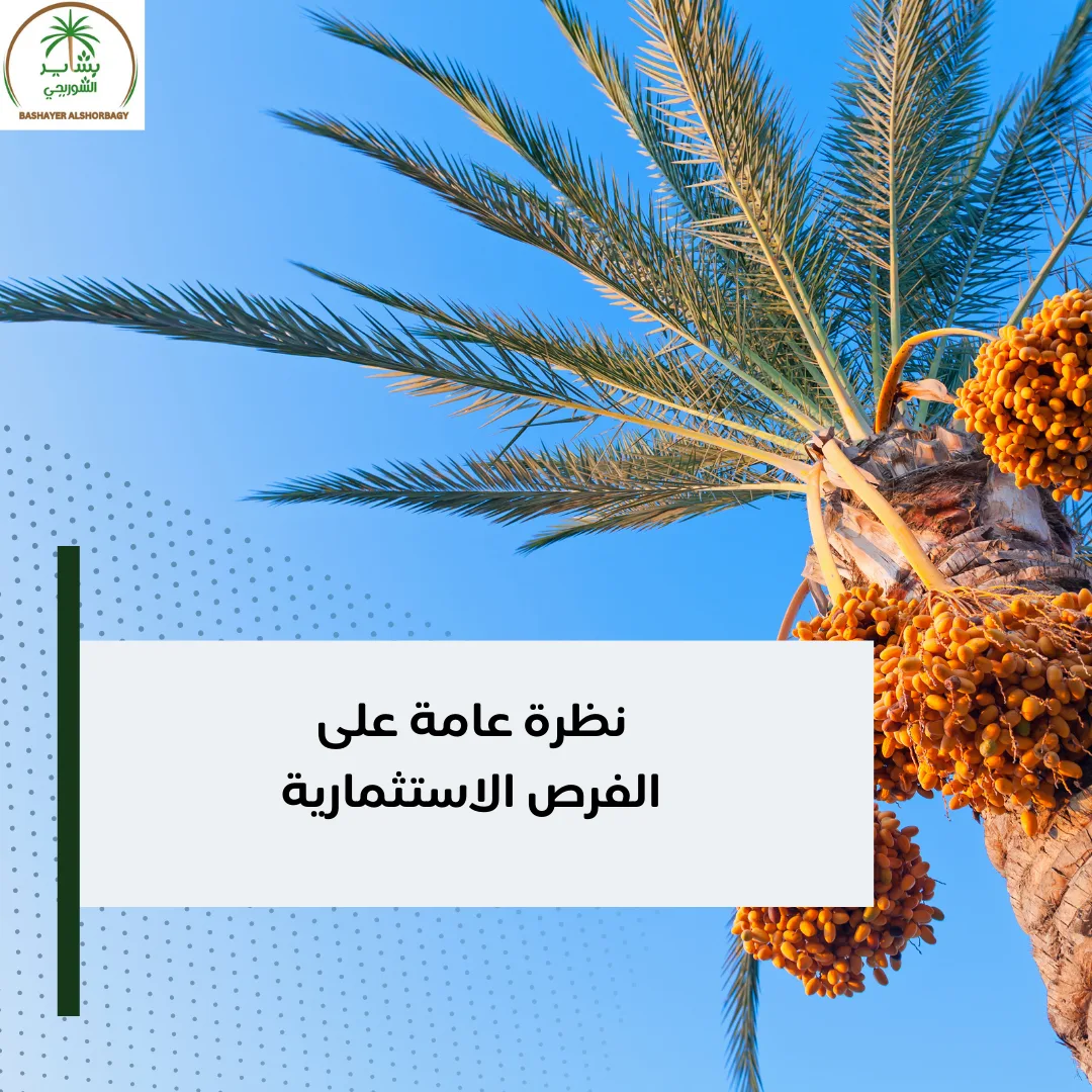 نظرة عامة على الفرص الاستثمارية