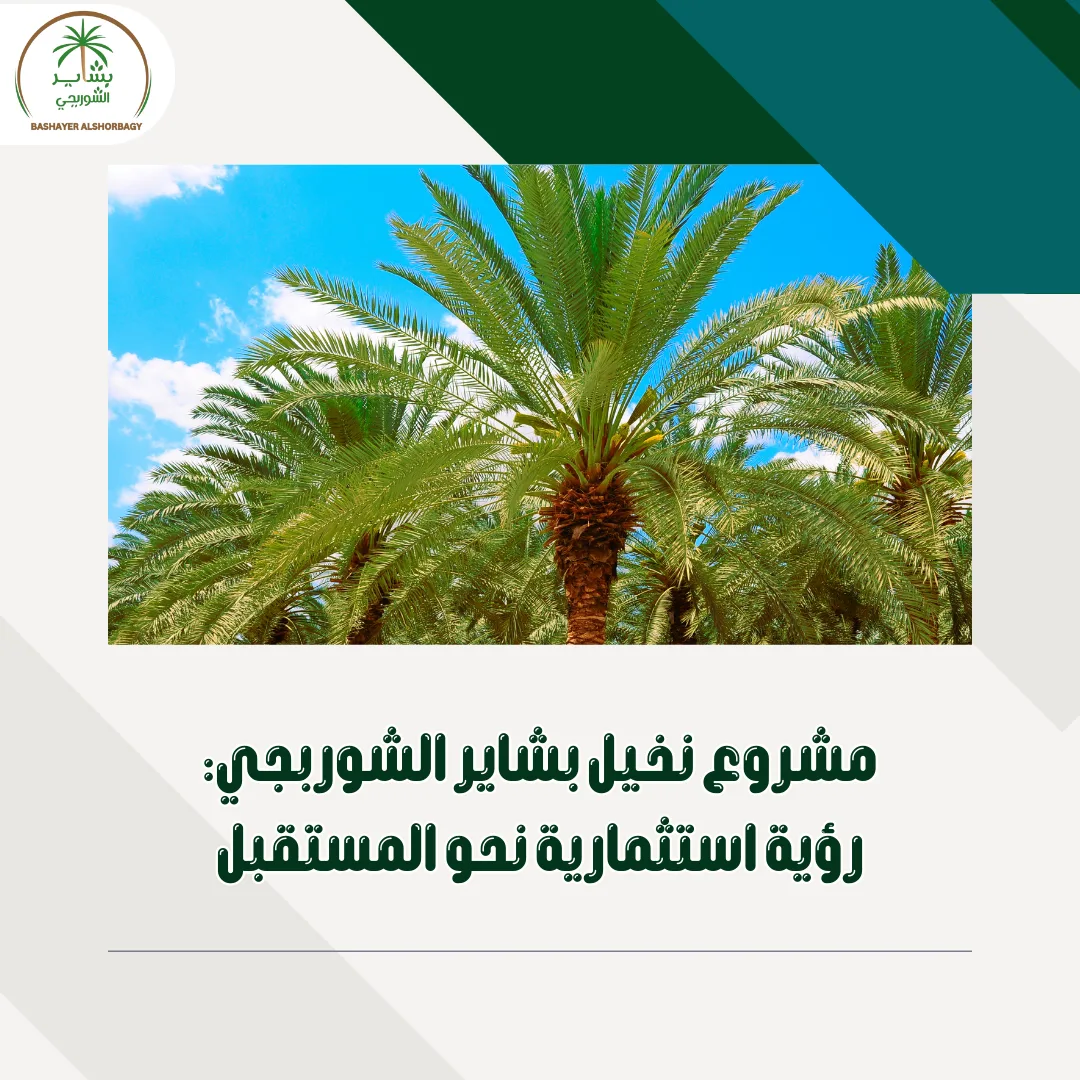 مشروع نخيل بشاير الشوربجي: رؤية استثمارية نحو المستقبل