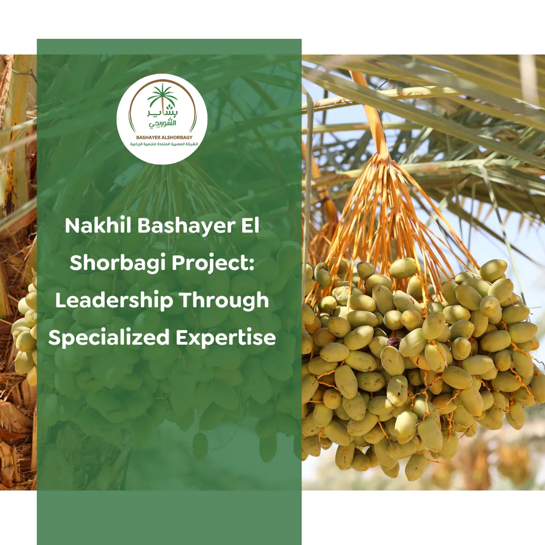 Nakhil Bashayer El Shorbagi Project: Leadership Through Specialized Expertise