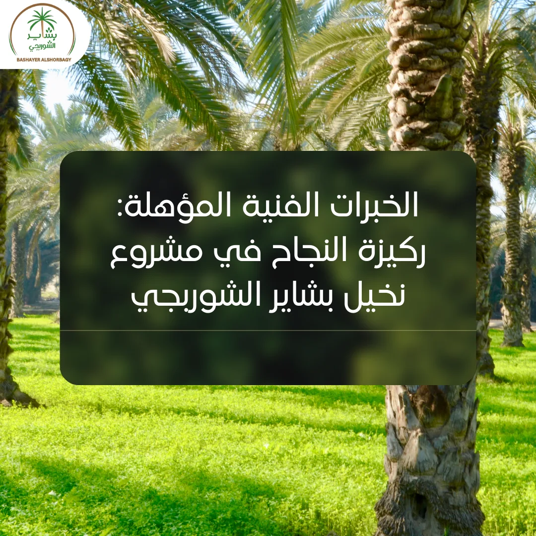 الخبرات الفنية المؤهلة: ركيزة النجاح في مشروع نخيل بشاير الشوربجي