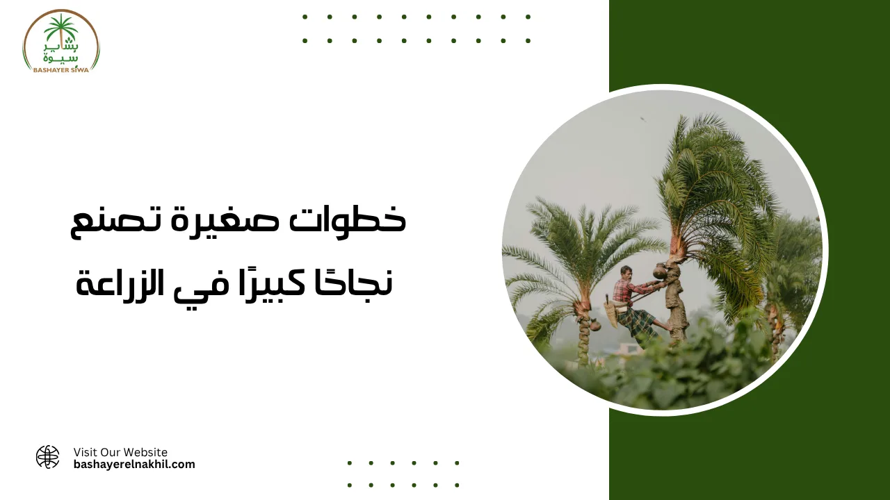 خطوات صغيرة تصنع نجاحًا كبيرًا في الزراعة