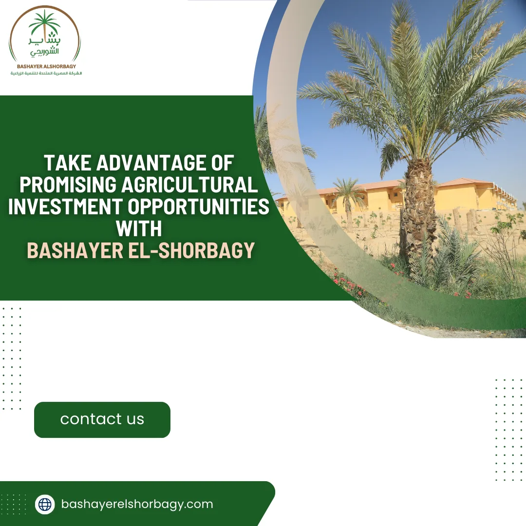 Take Advantage of Promising Agricultural Investment Opportunities with Bashayer El-Shorbagy
