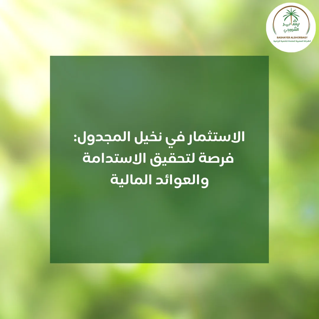 الاستثمار في نخيل المجدول