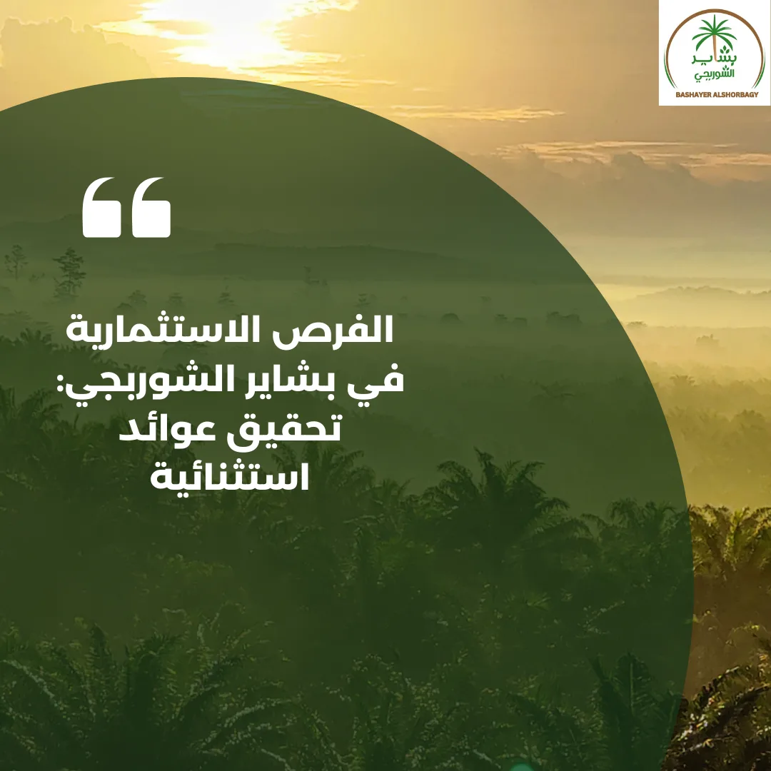 الفرص الاستثمارية في بشاير الشوربجي: تحقيق عوائد استثنائية