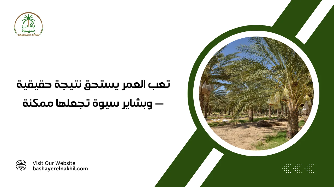 تعب العمر يستحق نتيجة حقيقية — وبشاير سيوة تجعلها ممكنة