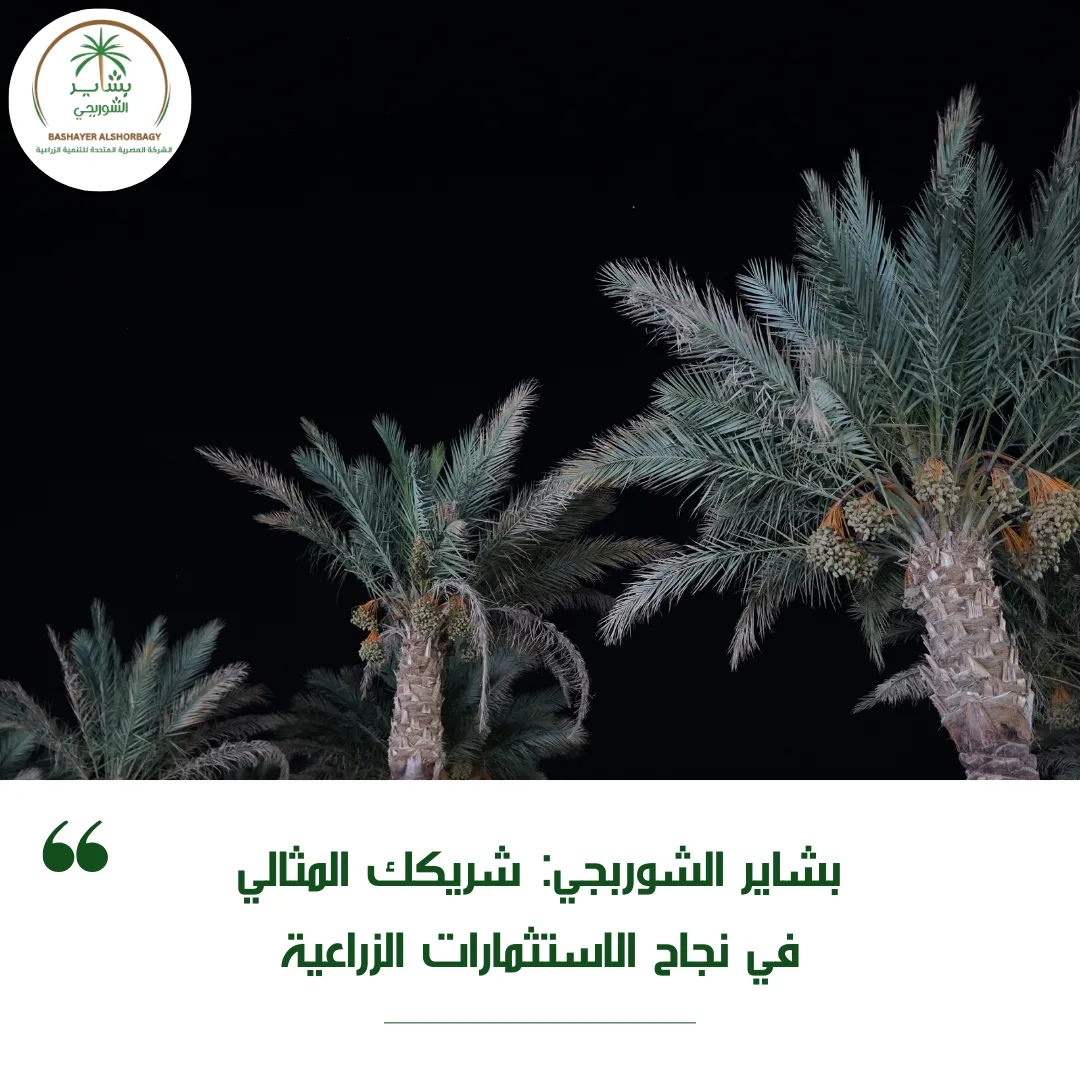 بشاير الشوربجي: شريكك المثالي في نجاح الاستثمارات الزراعية