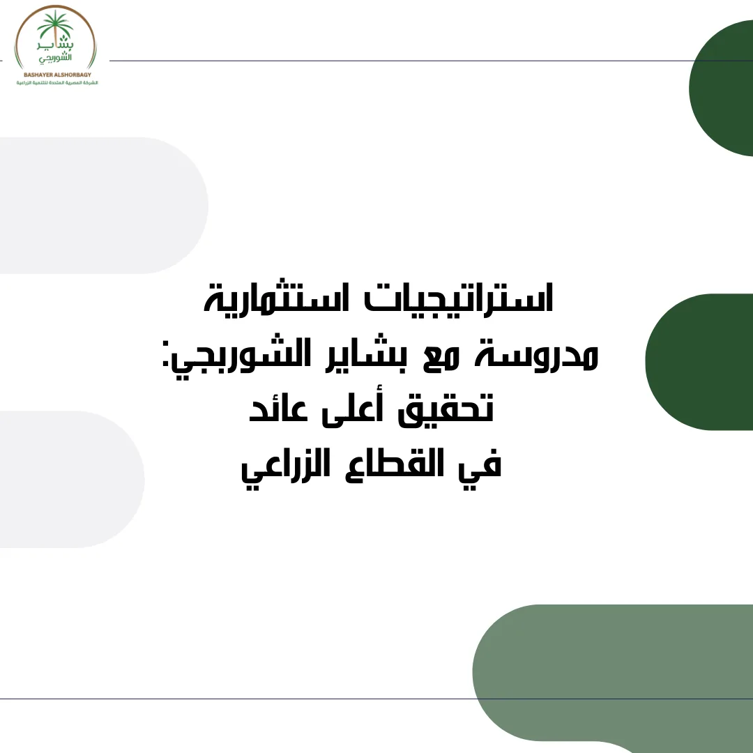 تحقيق عوائد تتجاوز 100% مع بشاير الشوربجي: استراتيجيات مدروسة ومشاريع مبتكرة
