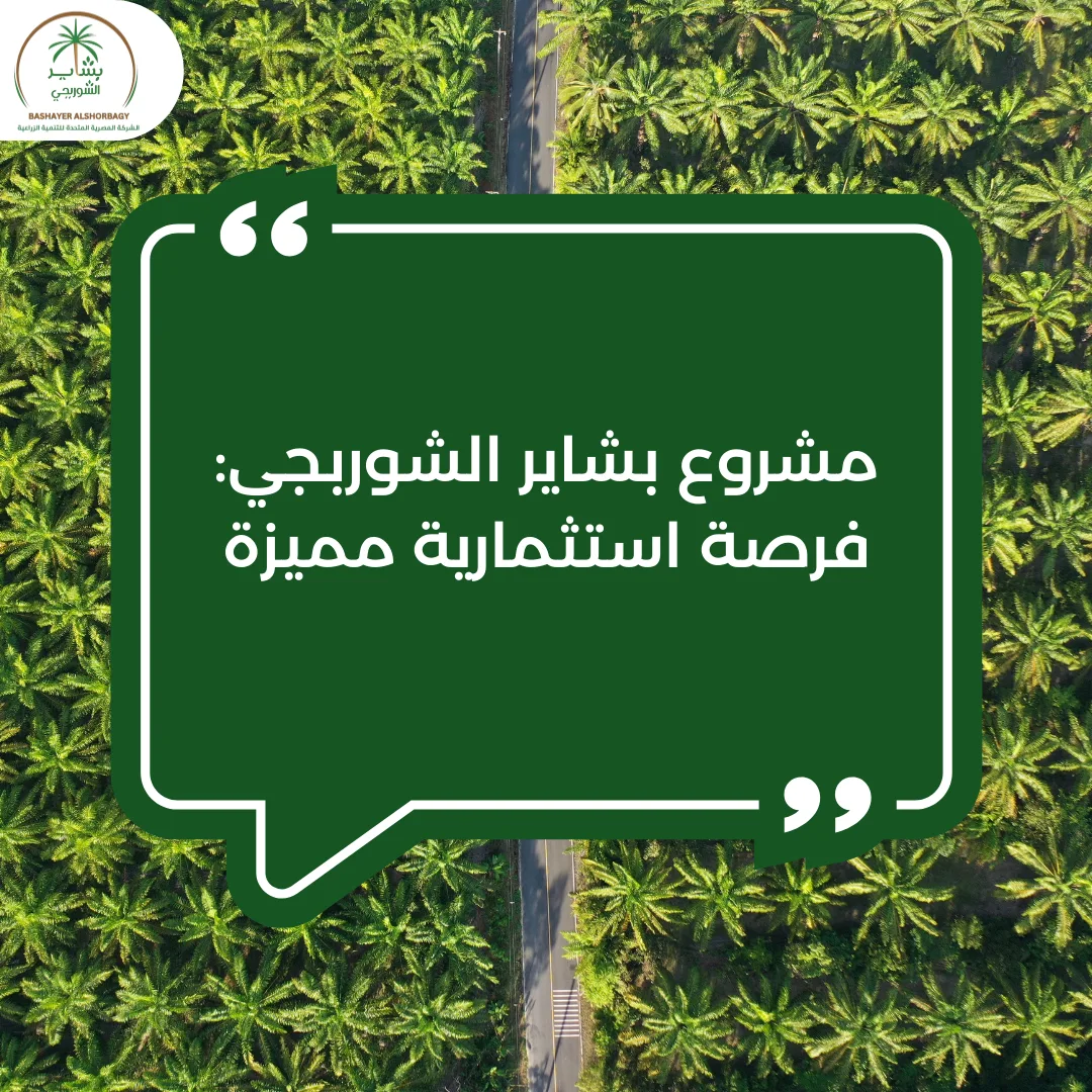 مشروع بشاير الشوربجي: فرصة استثمارية مميزة