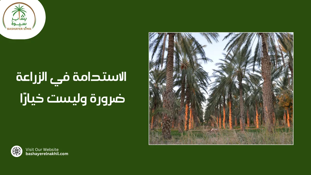 الاستدامة في الزراعة ضرورة وليست خيارًا
