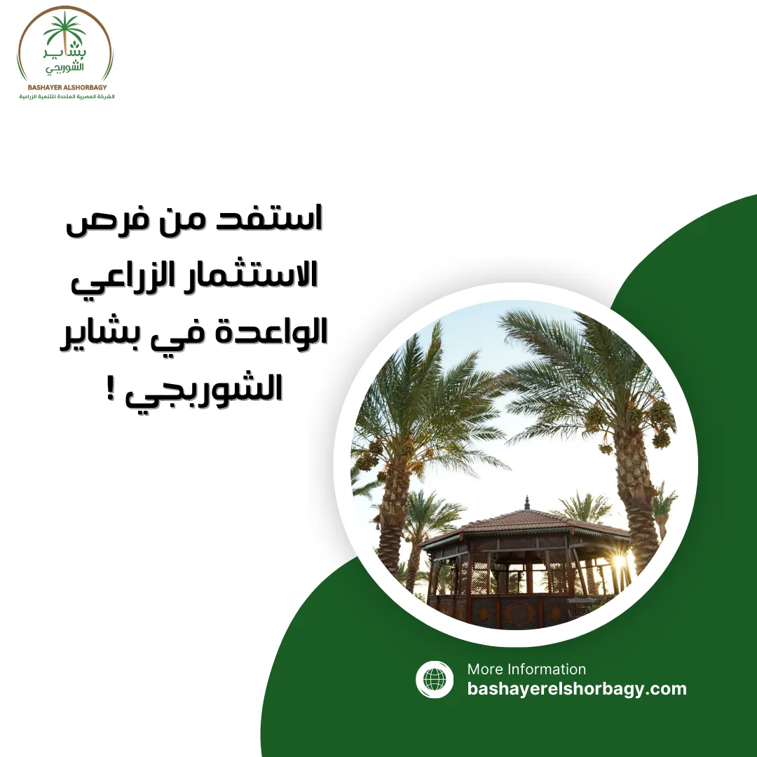 استفد من فرص الاستثمار الزراعي الواعدة في بشاير الشوربجي